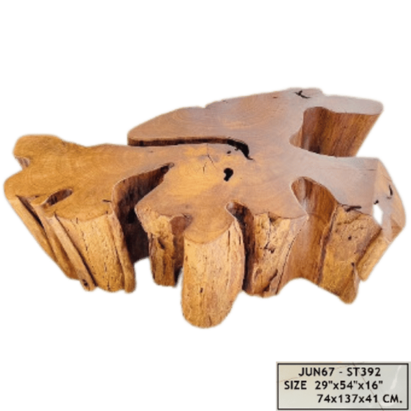 Coffee Table Mastoc “Unique Piece” - Image 4