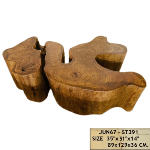 Coffee Table Mastoc “Unique Piece” - Image 5