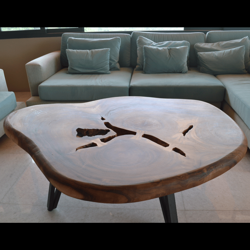 Coffee Table Lucia “Unique Piece”
