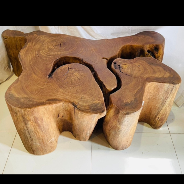 Coffee Table Mastoc “Unique Piece” - Image 3