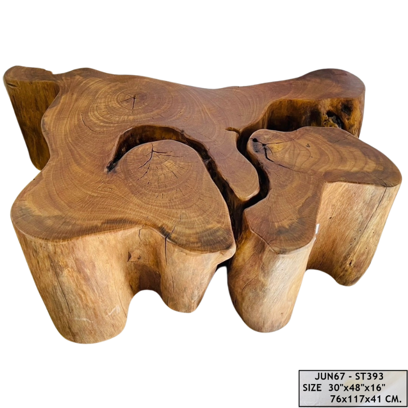 Coffee Table Mastoc “Unique Piece”