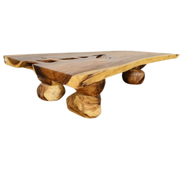 Wood Desk Mastodon "Unique Piece" - Image 2