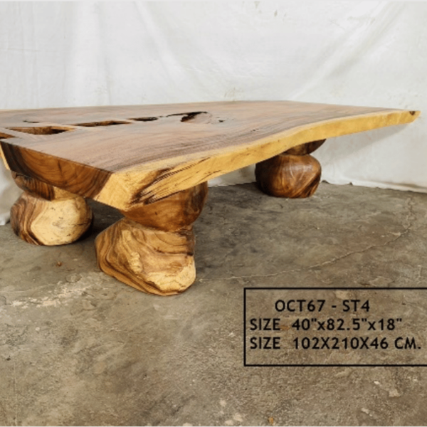 Wood Desk Mastodon "Unique Piece" - Image 3
