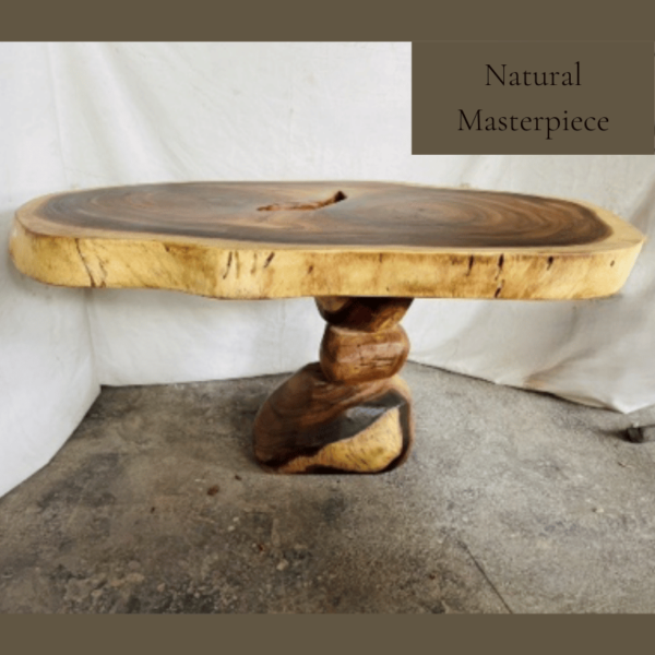 Wood Desk Pitagor "Unique Piece"
