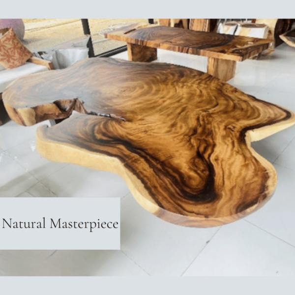 Coffee Table Splendia "Unique Piece" - Image 2