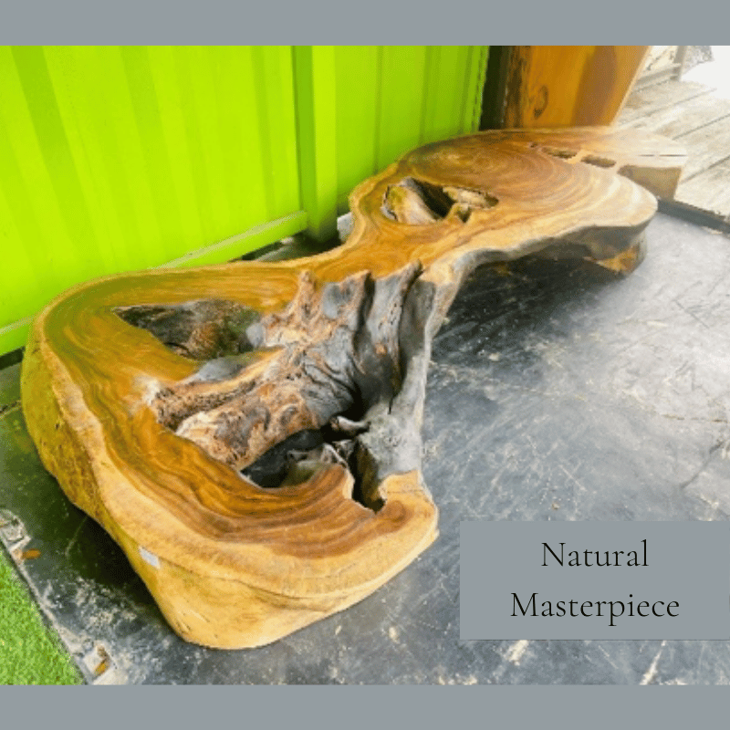 Wood Bench Coralia "Unique Piece"