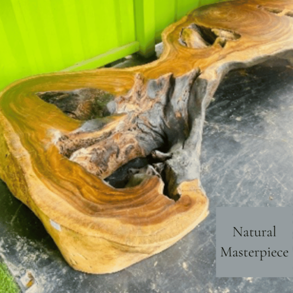 Wood Bench Coralia "Unique Piece"