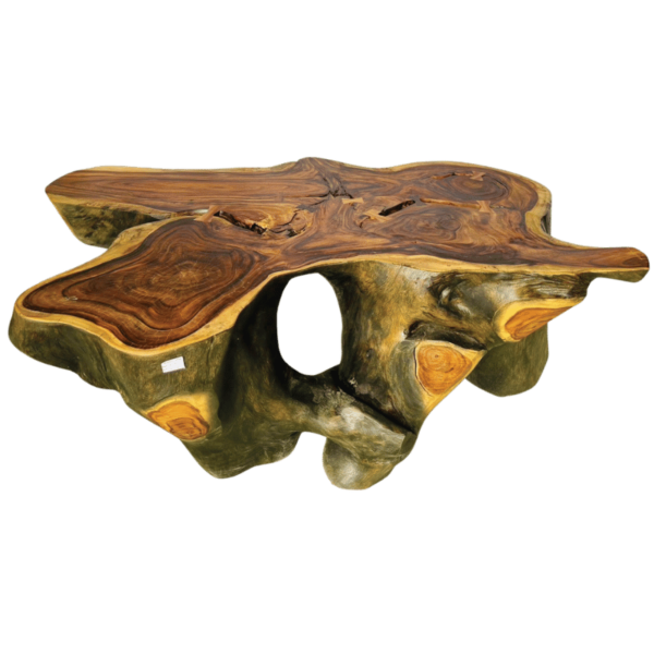 Coffee Table Poulpa - Image 3