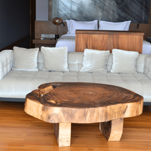 Coffee Table Loba "Unique Piece" - Image 2