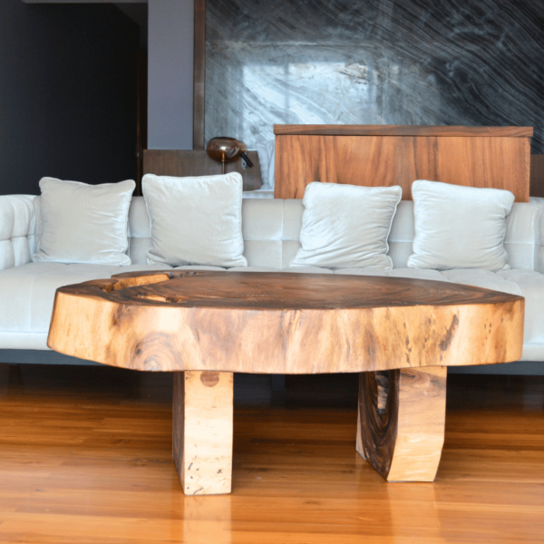Coffee Table Loba "Unique Piece" - Image 3