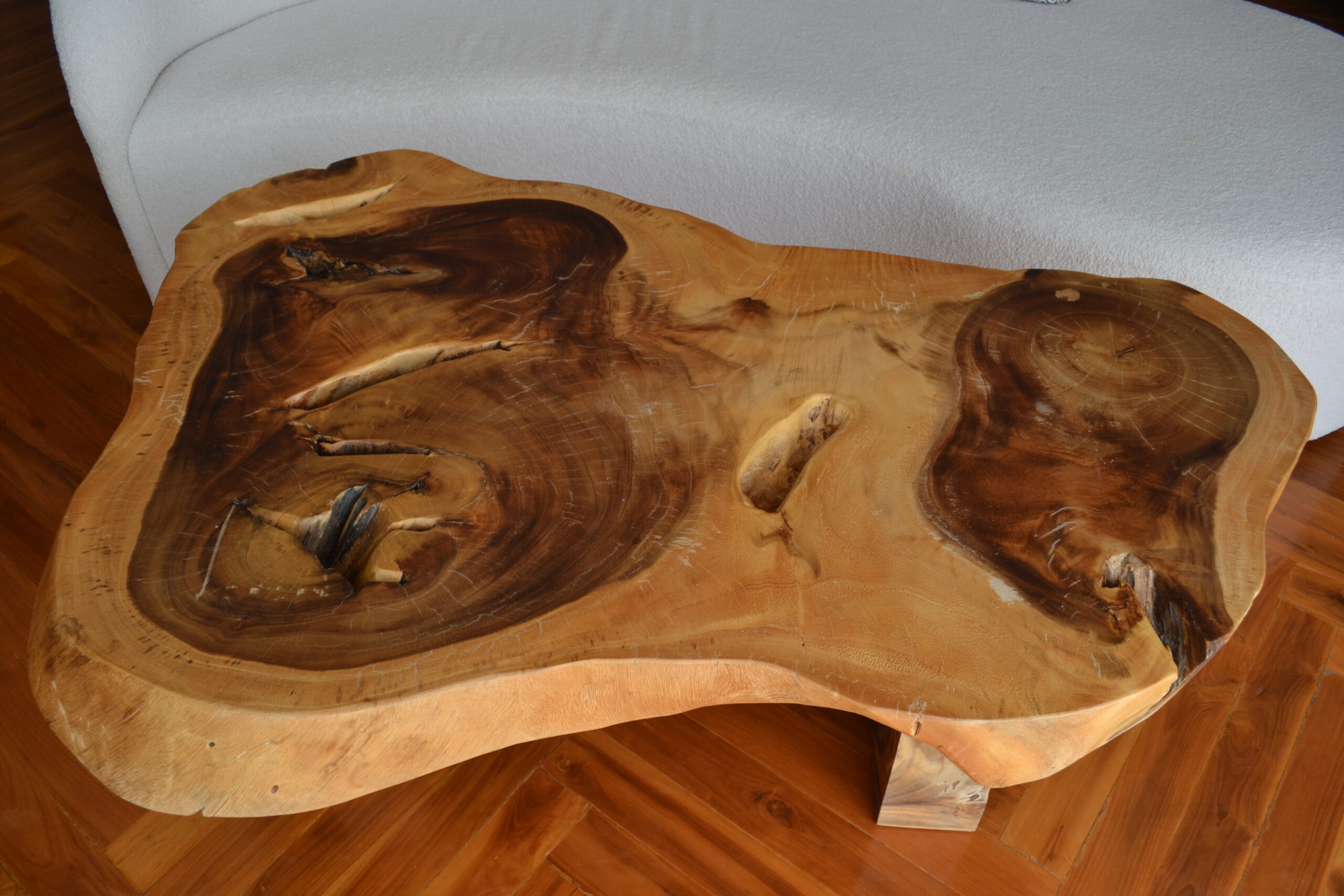Coffee Table Saparot "Unique Piece"