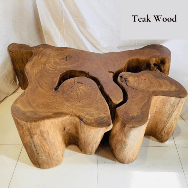 Coffee Table Mastoc “Unique Piece”